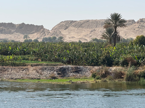 Mo Luxury Tours-亚斯文必去景点