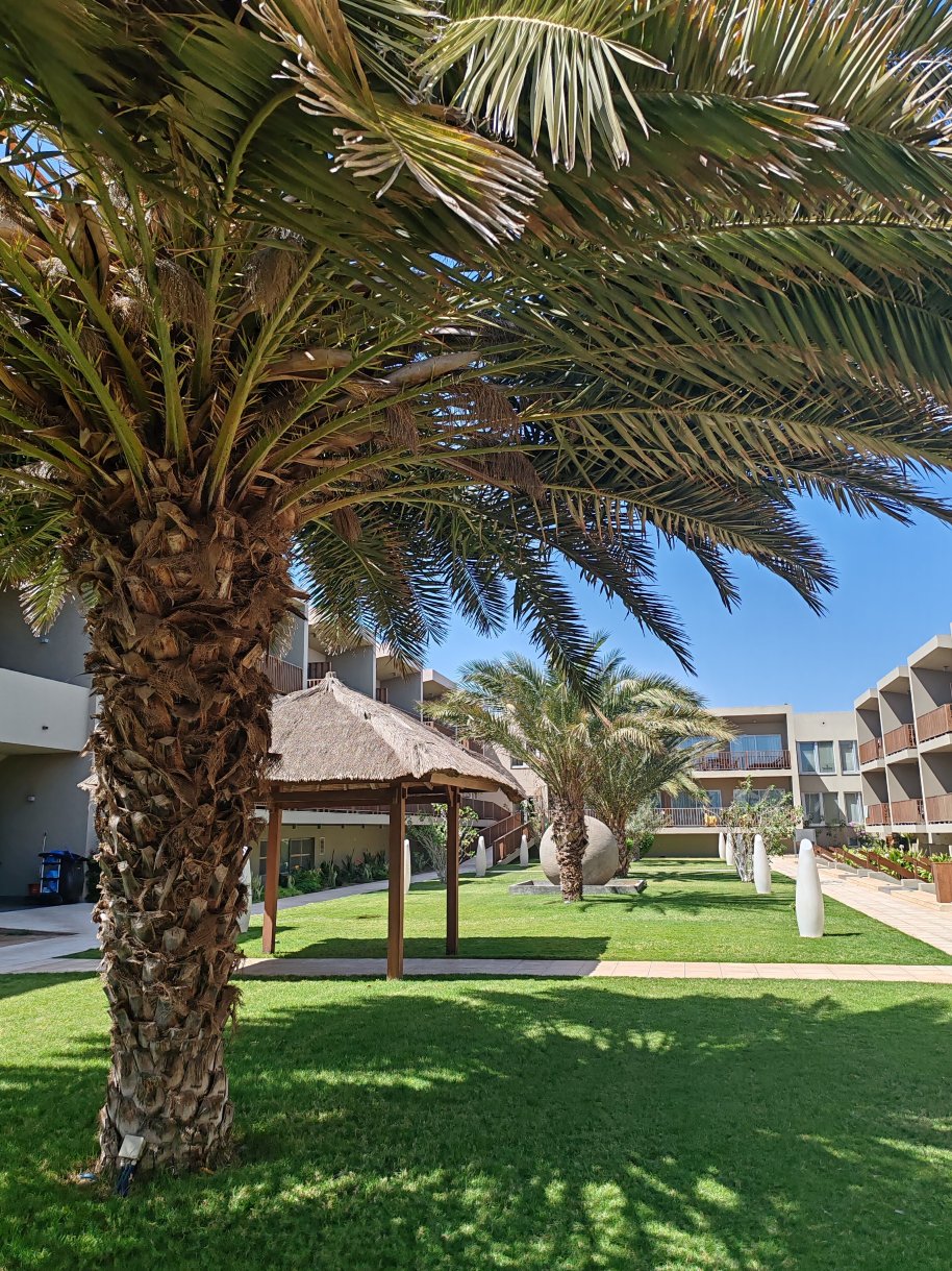 绿洲萨利纳斯海酒店-浴室