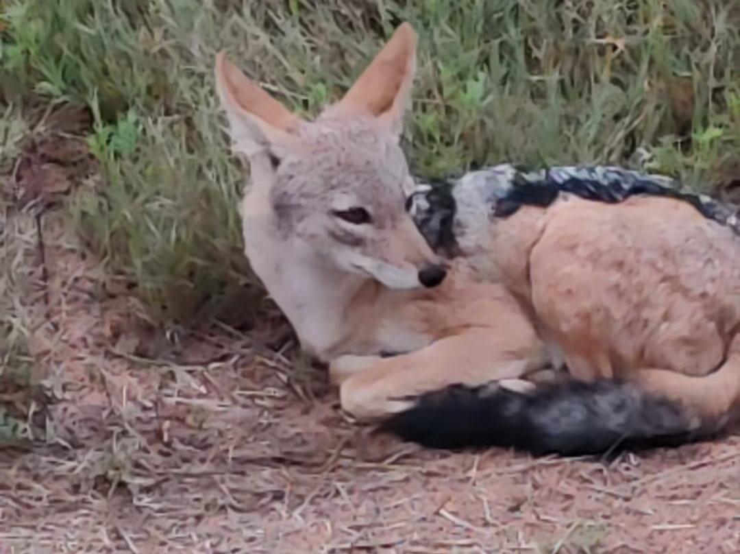 Loisico Tours and Excursions-Bloubergstrand必去景点