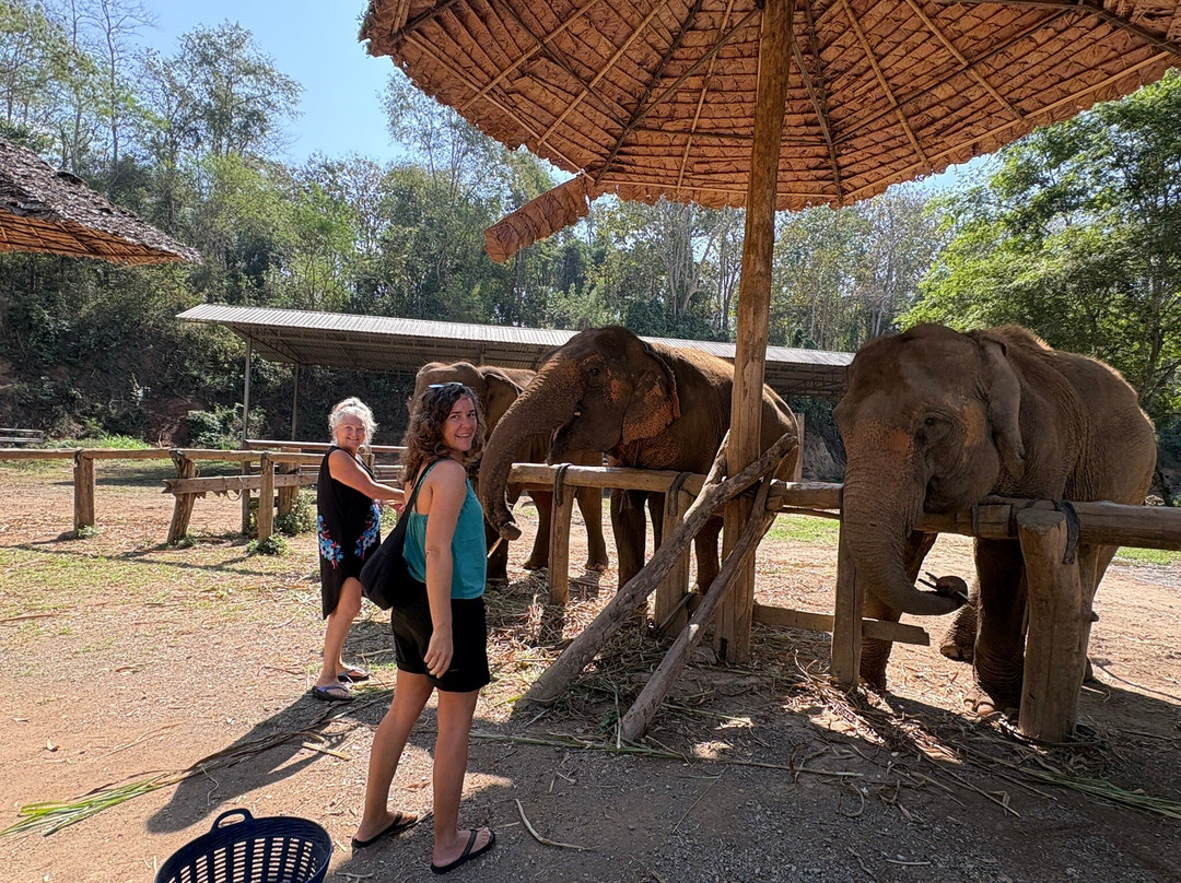 Loolu Tour - Private Day Tours-清迈必去景点