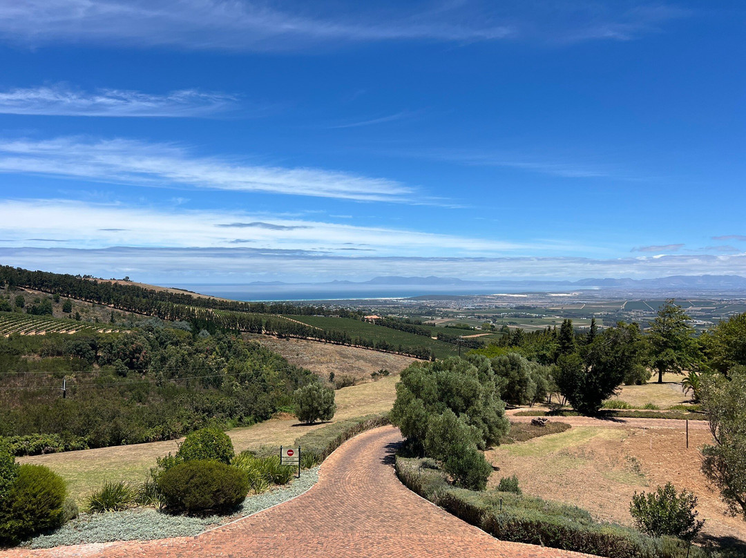 Uva Mira Mountain Vineyards-斯泰伦博斯必去景点