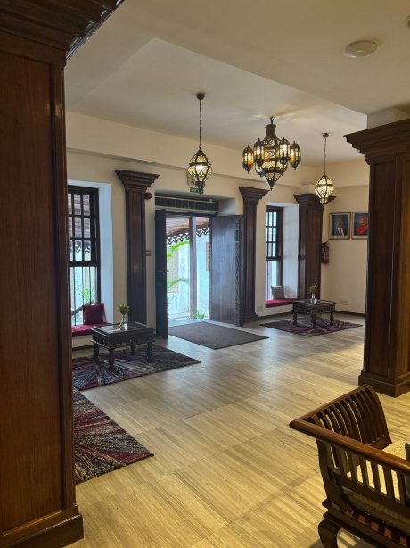 Spice Tree by Turaco-官方