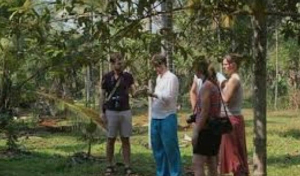 National Spice Garden of Sri Lanka-Matale必去景点