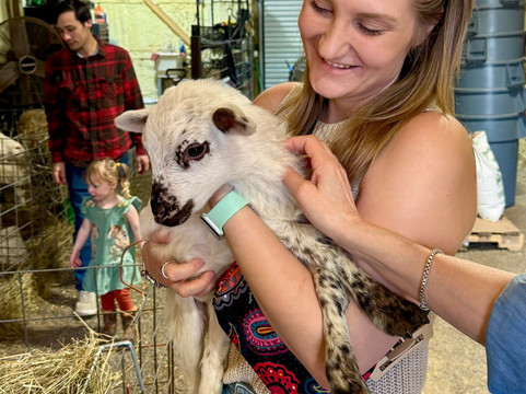 Cress Creeks Farm And Corn Maze-Ellijay必去景点