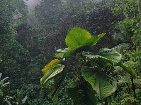 Ave Azul de la Osa-Carate必去景点