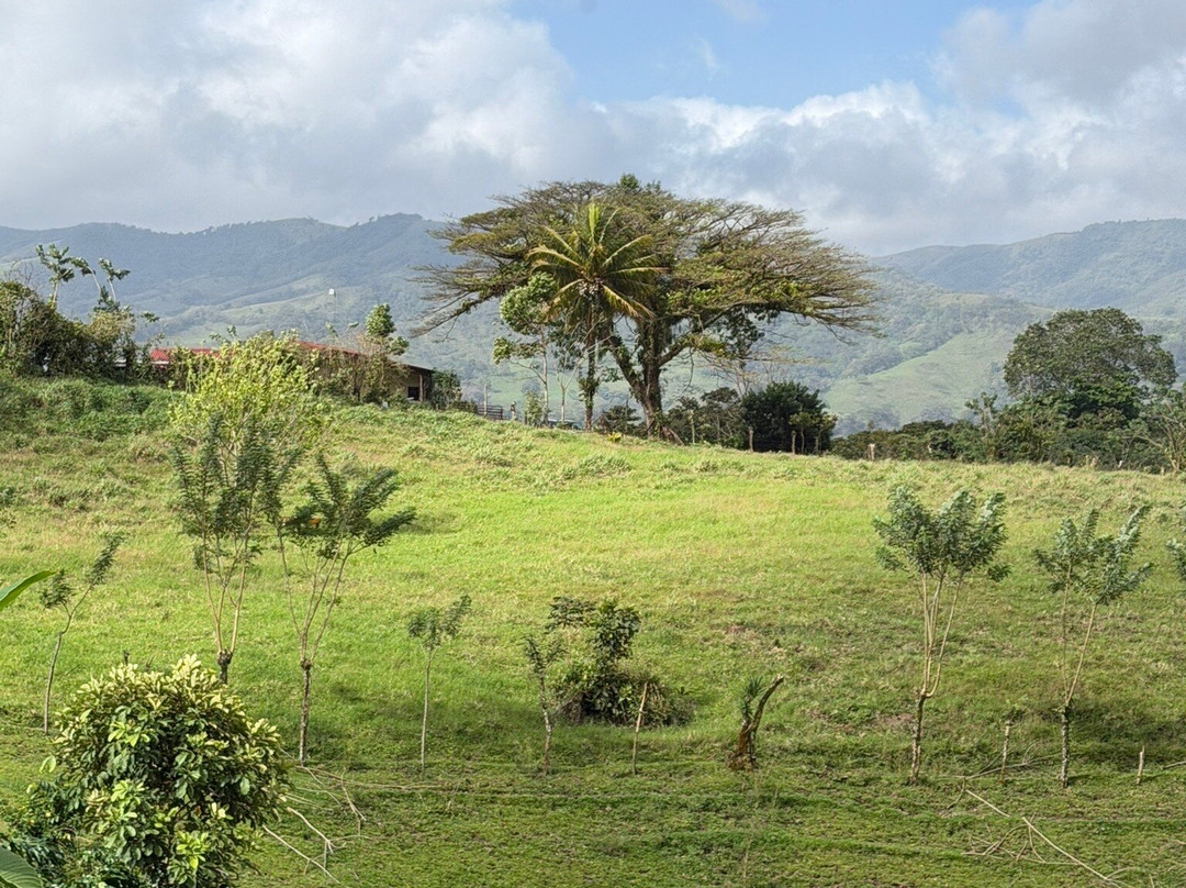 Hotel la Mansion Inn Arenal主图