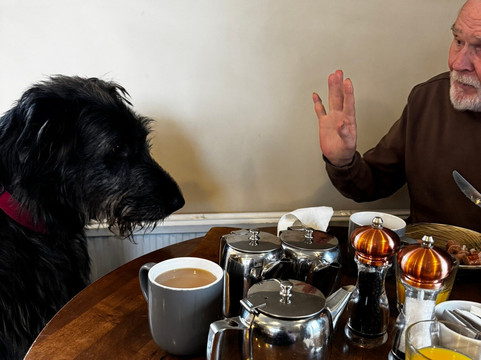 The Mill House Hotel & Restaurant主图