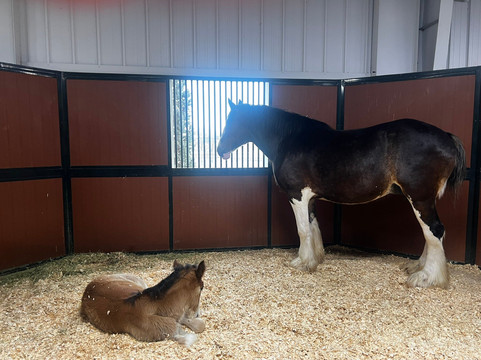 Warm Springs Ranch-Boonville必去景点