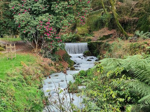 Menacuddle Well & Gardens-圣奥斯特尔必去景点