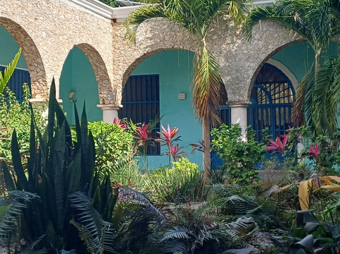 Cenote Saamal-巴利亚多利德必去景点