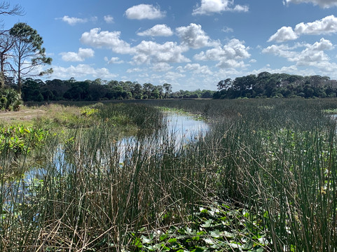 Winding Waters Natural Area-西棕榈滩必去景点