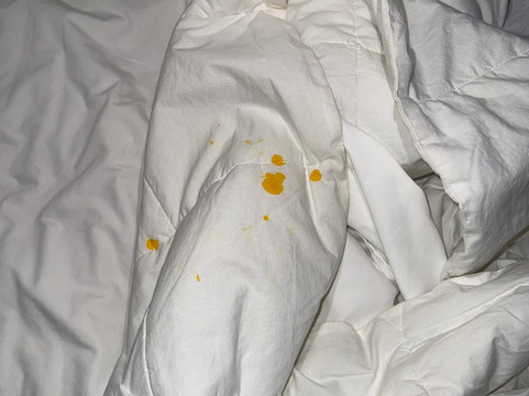 霍桑哥伦比亚 - 杰克逊堡温德姆长住酒店主图