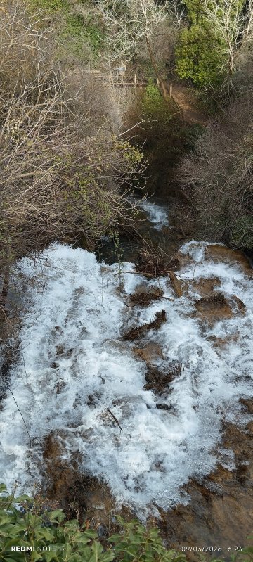 Hostería de Cañete-官方