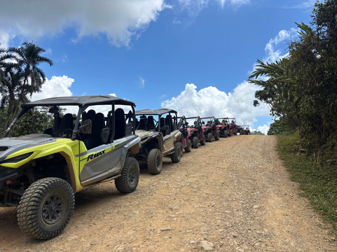 Jungle ATV Quad Tours-乌维塔必去景点