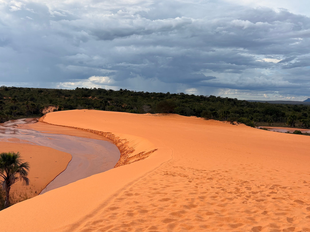 Jalapão Brasil Expedições-Palmas必去景点
