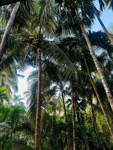 Shreebag Homestay Diveagar-官方