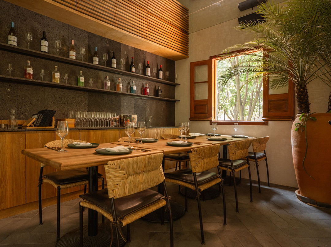 Los Danzantes Coyoacán