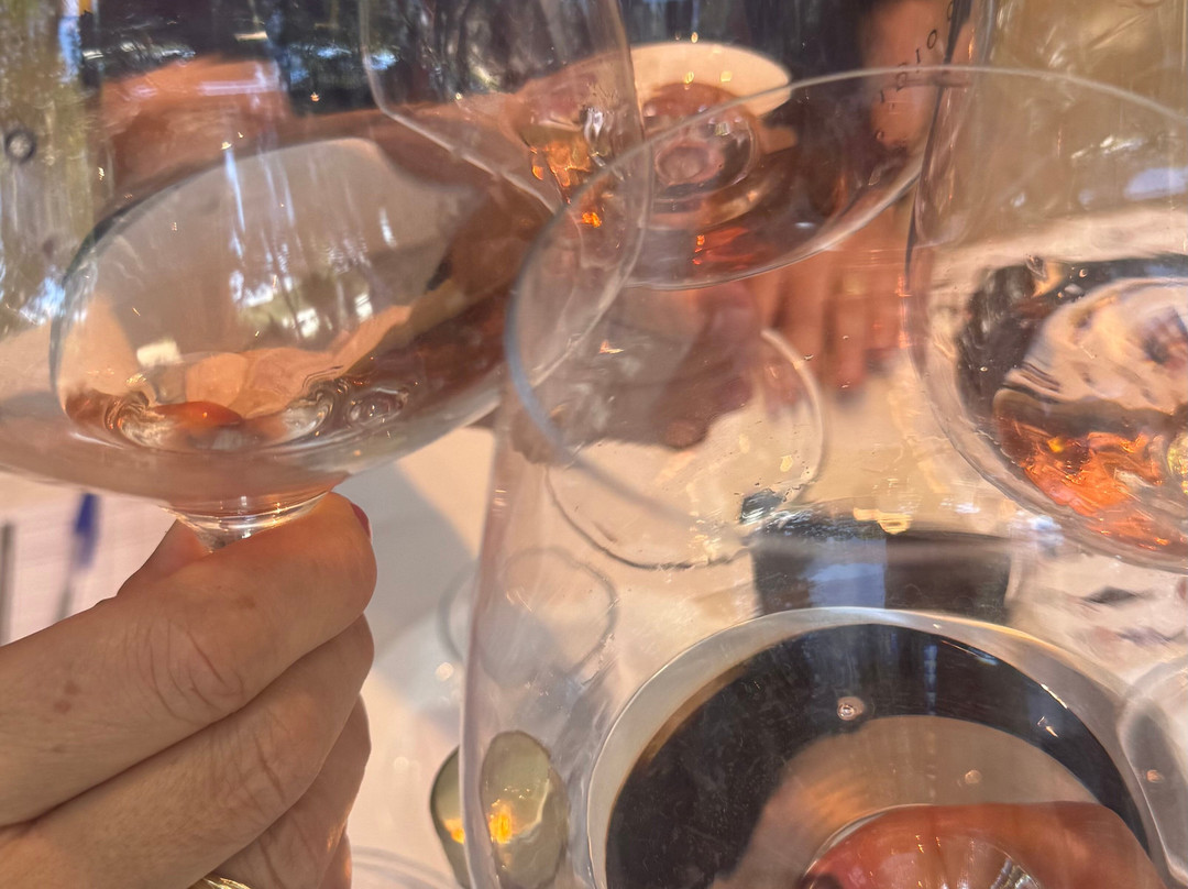 Lidio Carraro Vinícola Boutique-本图贡萨尔维斯必去景点