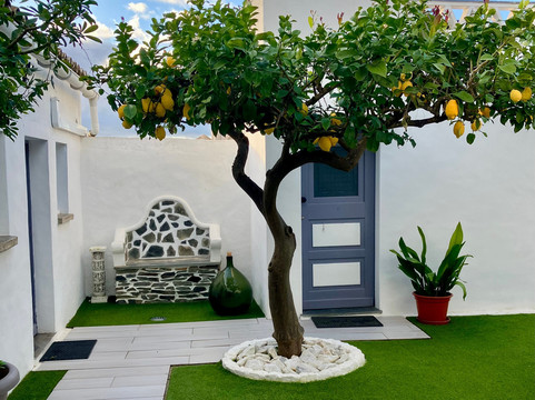 安东尼亚女士的家主图