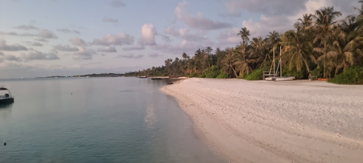 马尔代夫瑞僖敦法鲁玛福斯酒店-官方