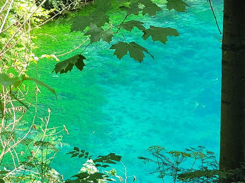 Blautopf-布劳博伊伦必去景点