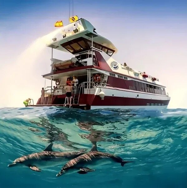 Espiritu De Buceo-圣地亚哥港必去景点