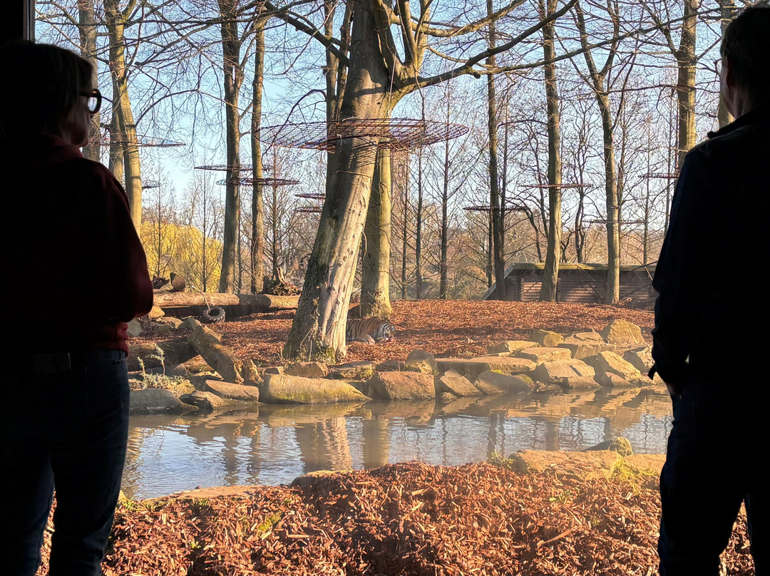 Pairi Daiza Resort主图