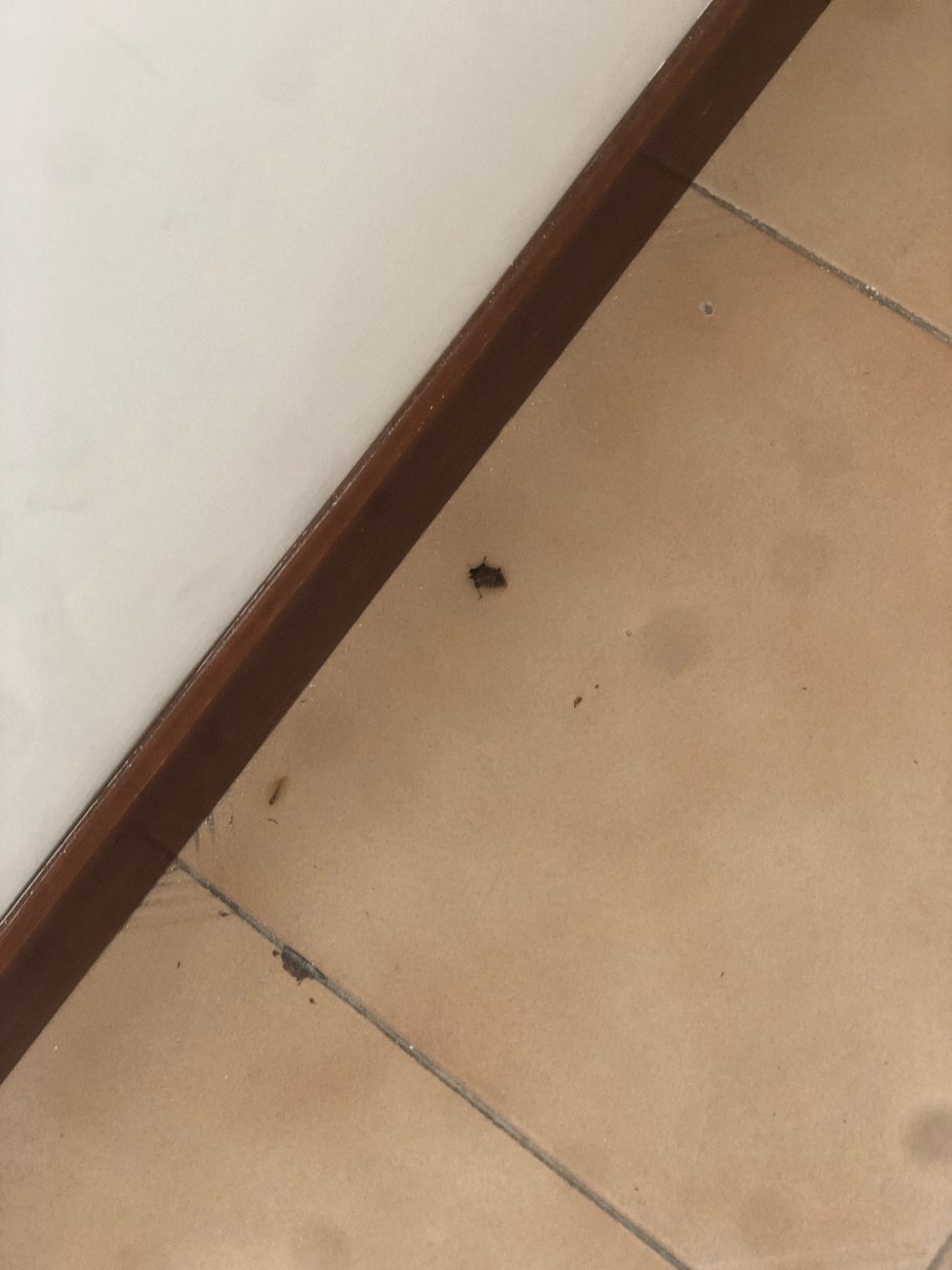 泰莱塞大酒店-官方