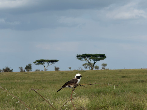 Passionate Safaris-Dar es Salaam必去景点