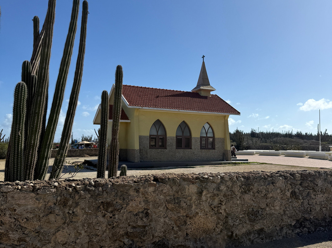 De Palm Tours-奥腊涅斯塔德必去景点