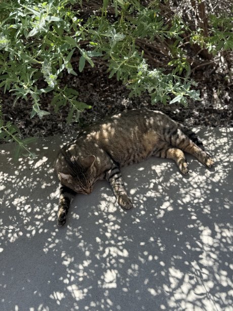 The Inn at Opolo-官方