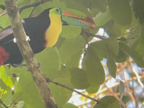 Panama Road Trips-巴拿马城必去景点