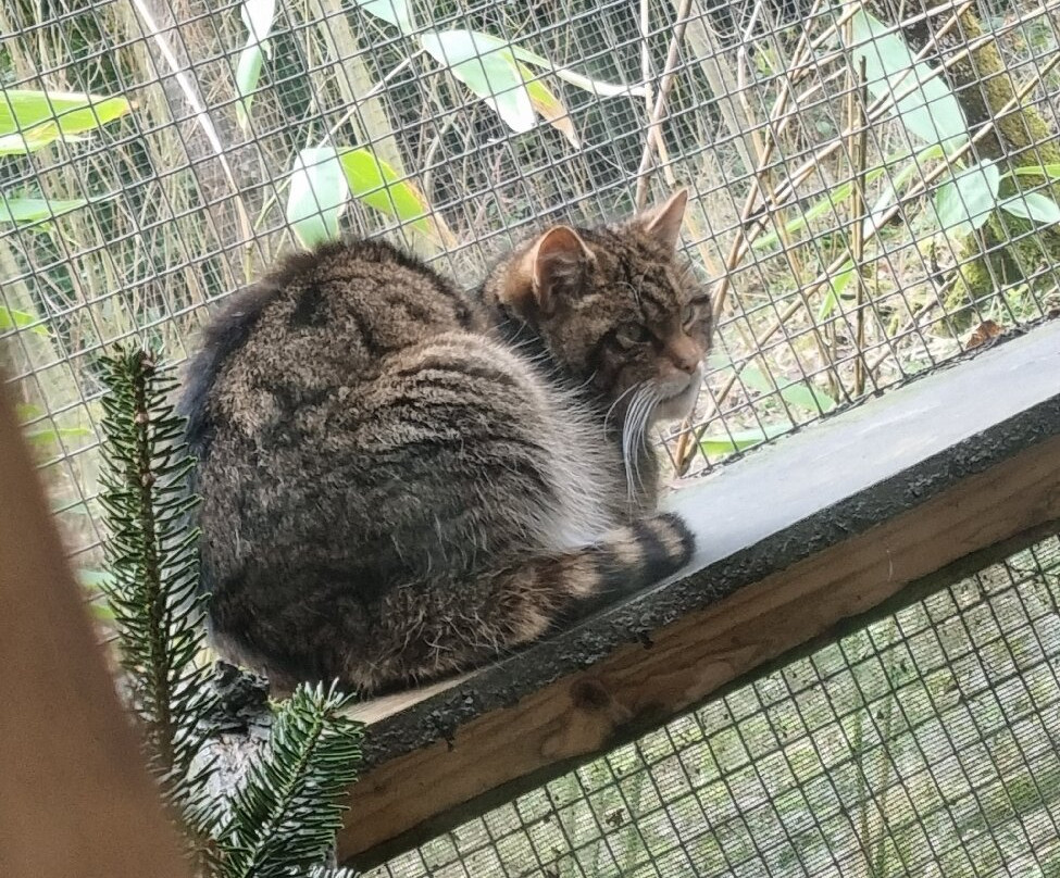 The Lake District Wildlife Park-Bassenthwaite必去景点