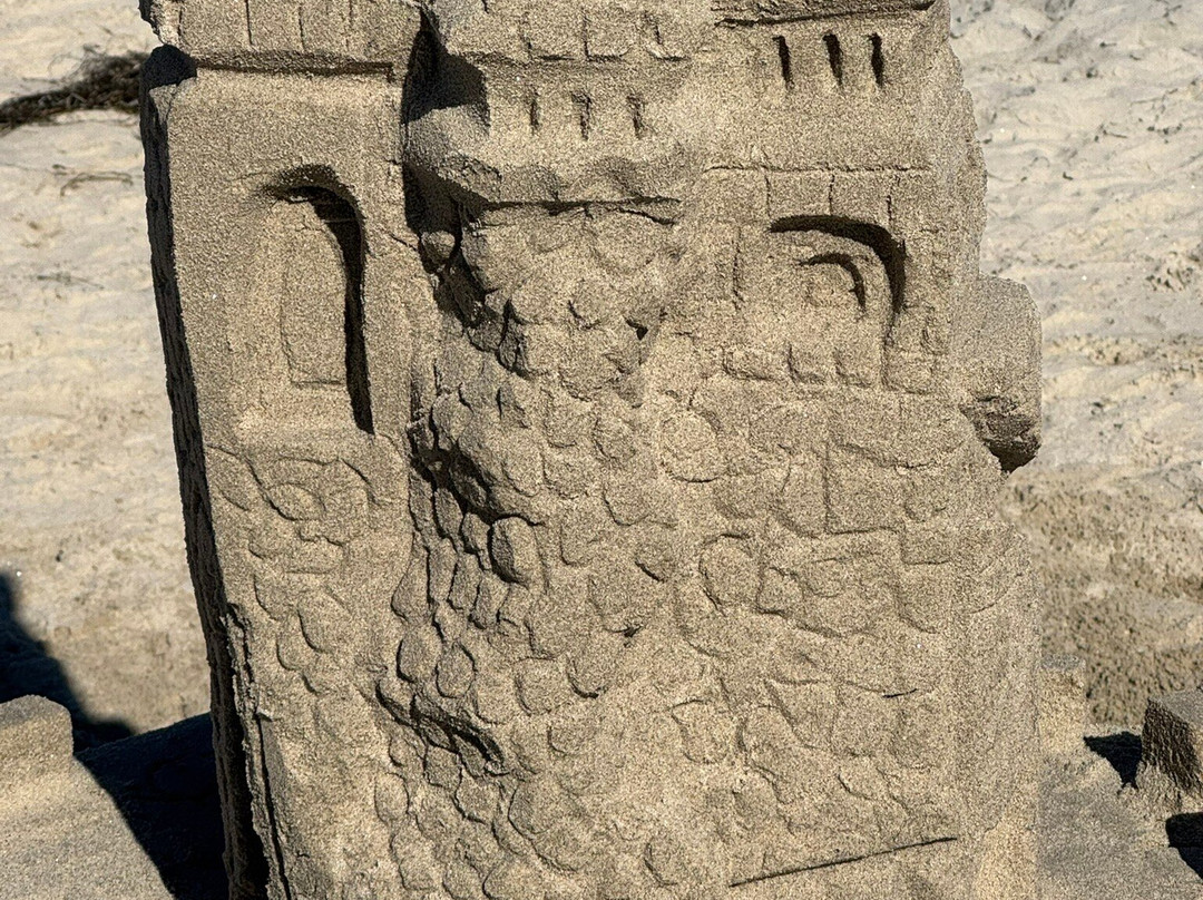 San Diego Sand Castles-圣地亚哥必去景点