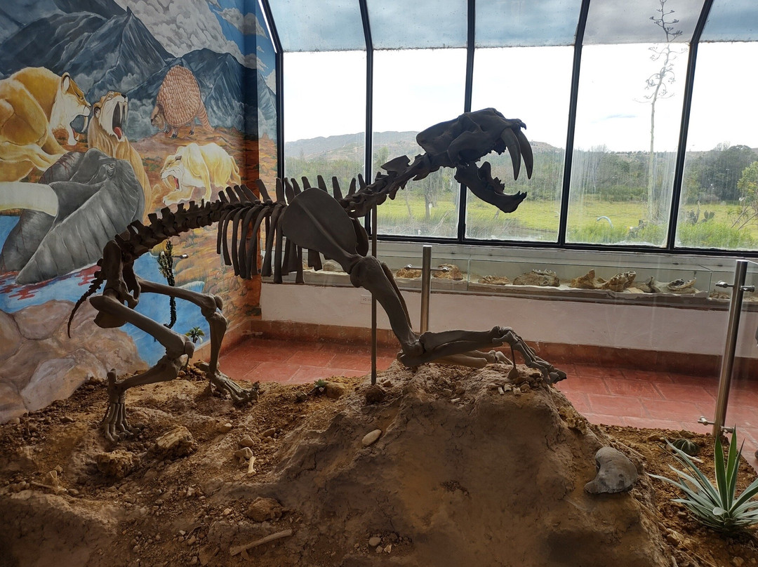 Museo Paleontologico de Villa de Leyva-莱瓦镇必去景点