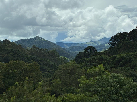 Cervejaria 3 Orelhas-Goncalves必去景点