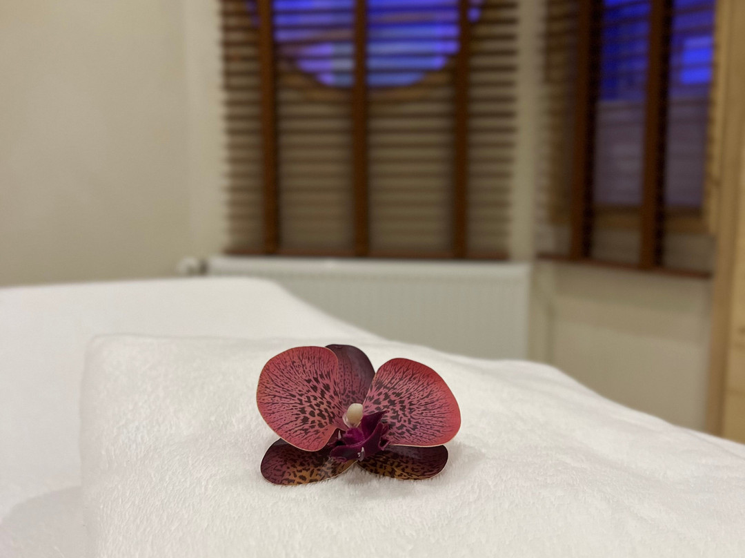 尚菲山餐厅酒店主图