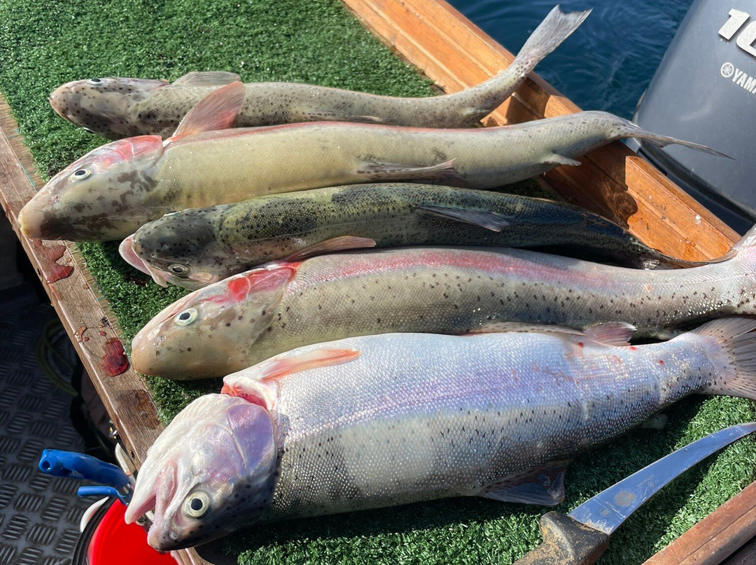 Whiskery Mike's Turangi Trout Connection-图朗伊必去景点