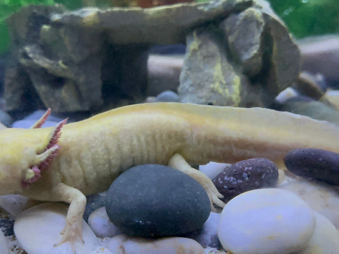 互动式水族馆-坎昆必去景点