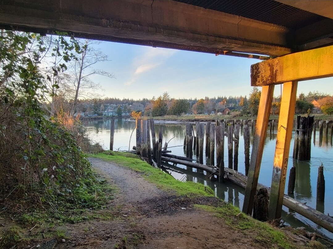 Kurt Cobain Memorial Park-阿伯丁必去景点
