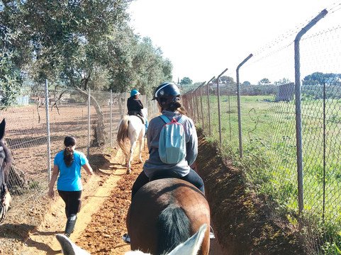 Centro Ecuestre Entrepinares-塞维利亚必去景点