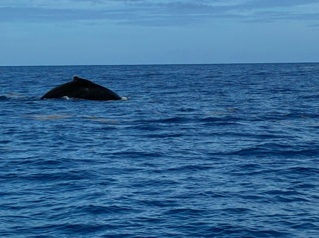 Soleil Excursions-Pointe-Noire必去景点