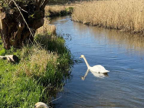 Pensthorpe-Fakenham必去景点