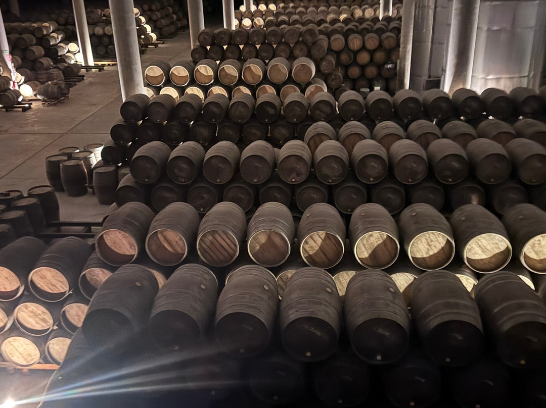 Bodegas Martinez Lacuesta-哈罗必去景点