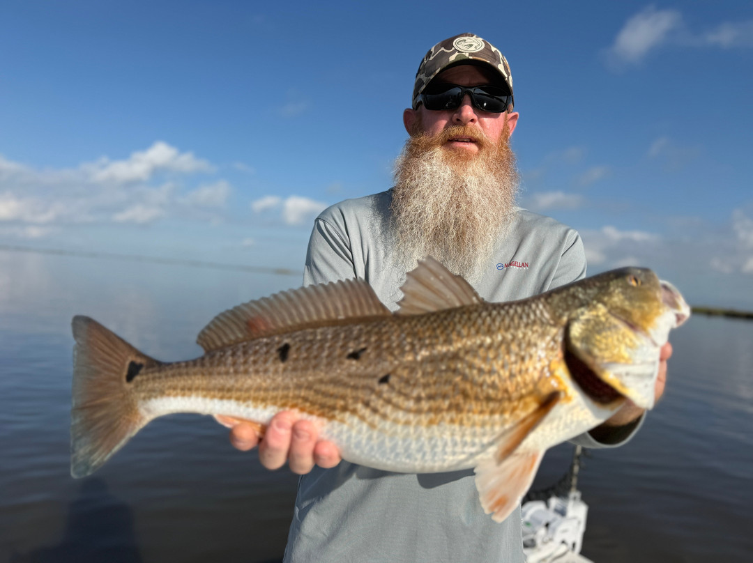 Bayou Charters-Saint Bernard必去景点