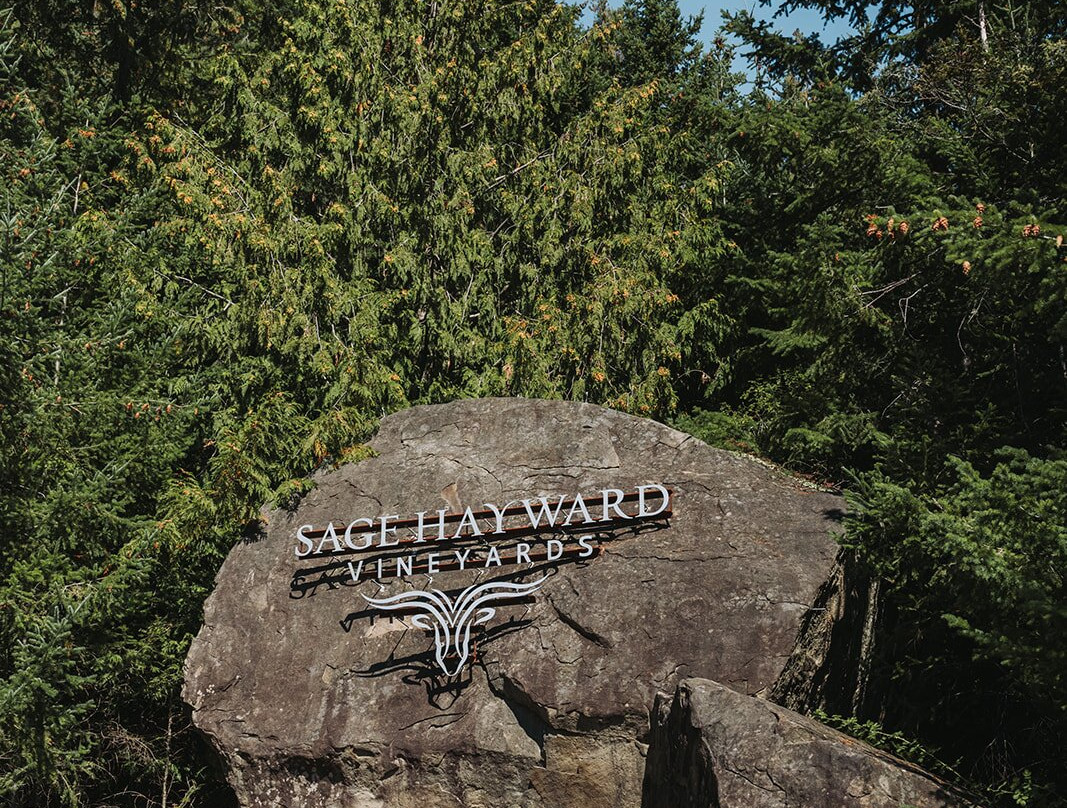 Sage Hayward Vineyards-Saturna Island必去景点