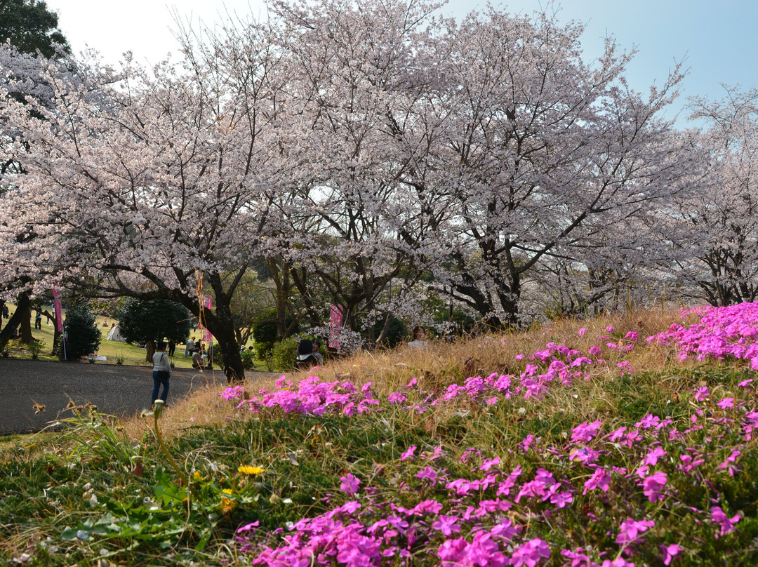 Iwamotoyama Park-富士市必去景点