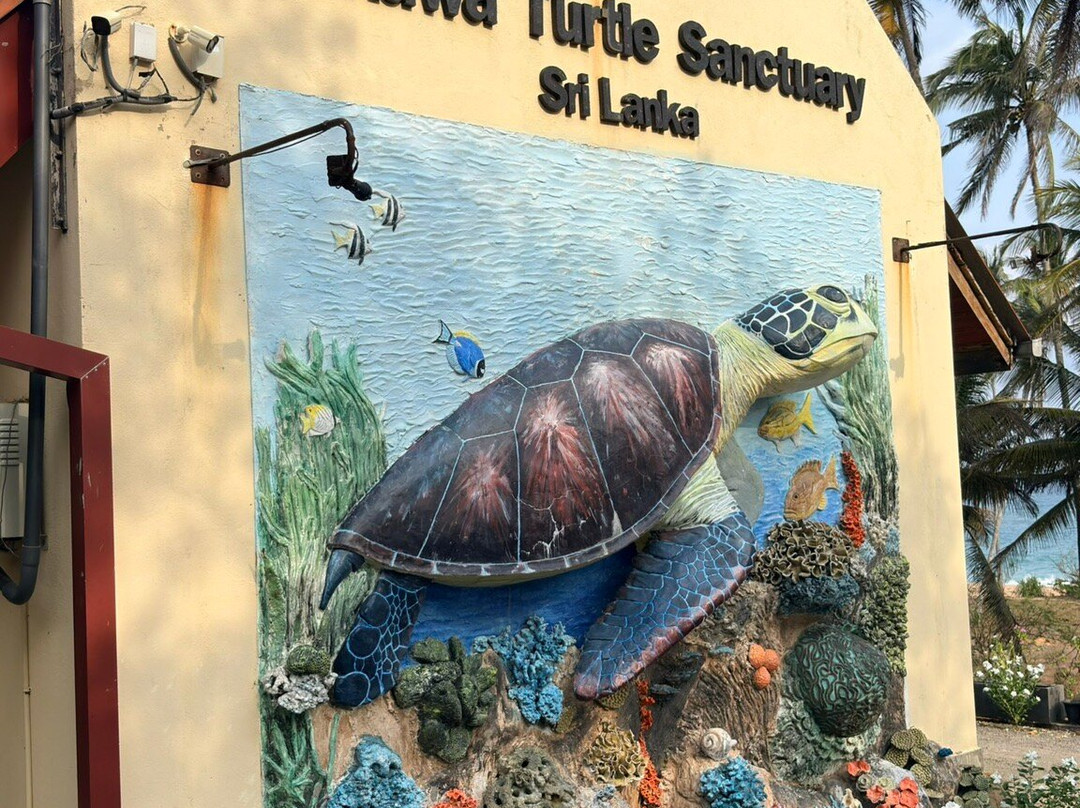 MySL Travel-科伦坡必去景点