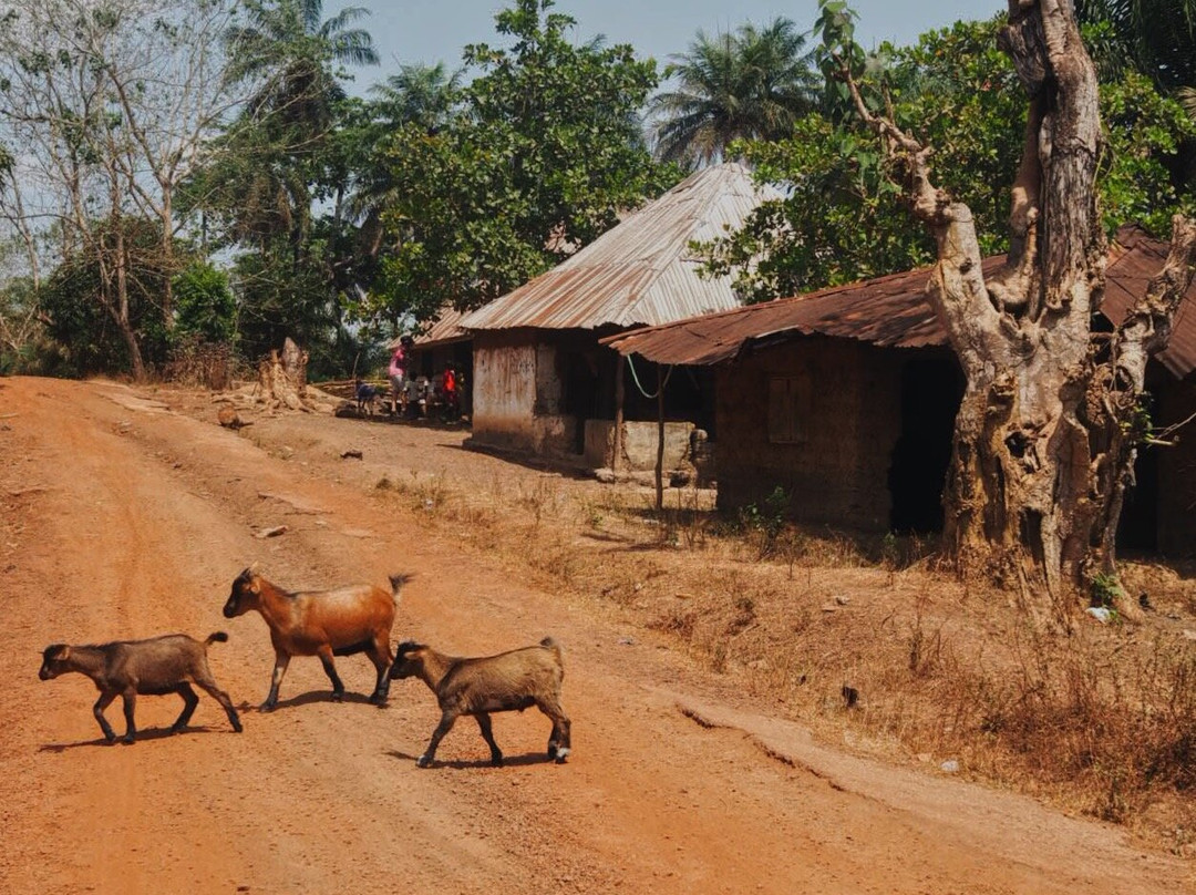 Sierra Leone Adventure Cycling Tours-Lunsar必去景点