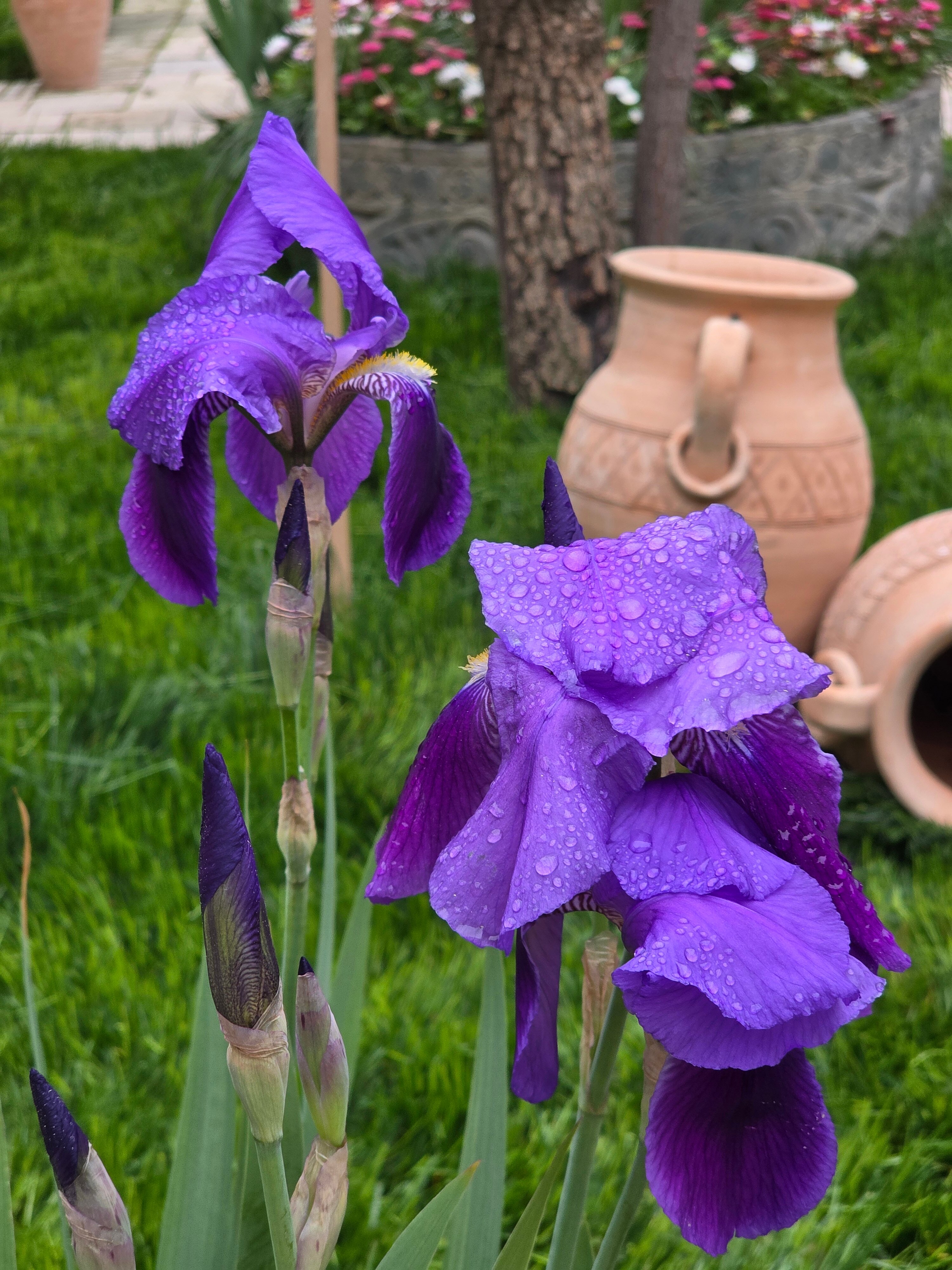 拉尔加马克-官方